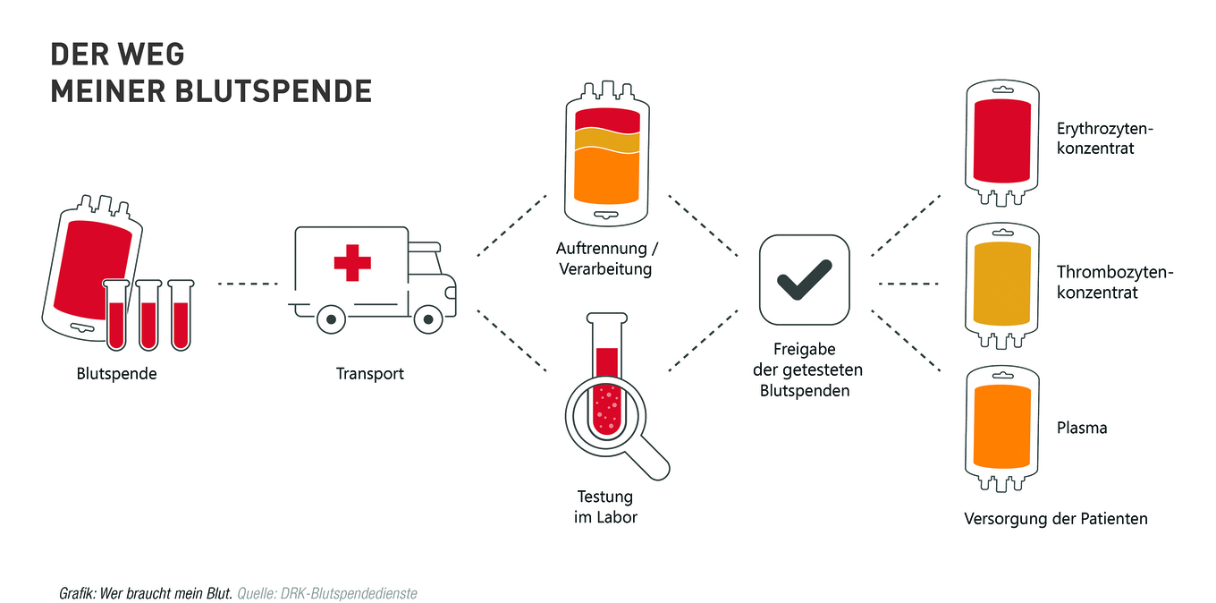 Blutspendediagramm