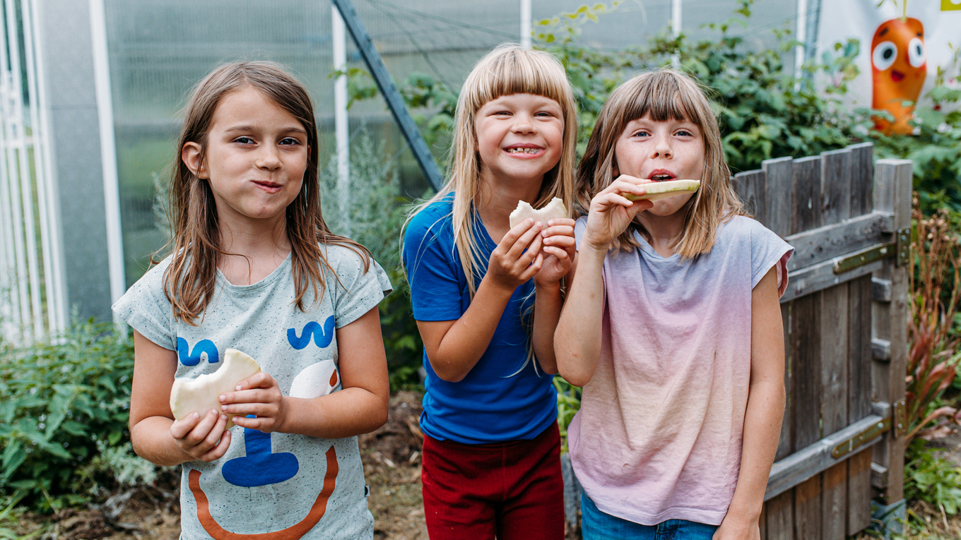 Kinder naschen frisch geerntetes Gemüse