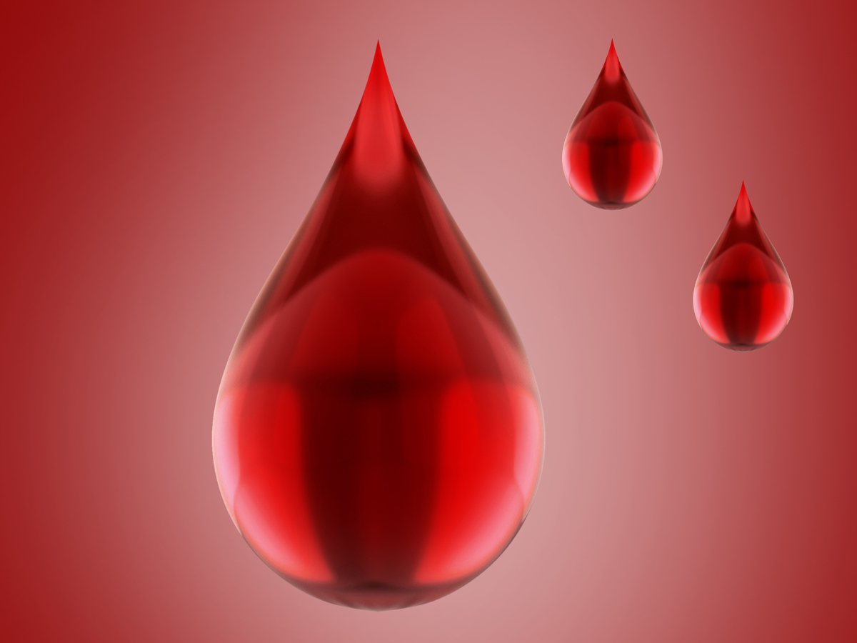 Was das Blut über unsere Gesundheit verrät Thema Gesundheit PVS Einblick