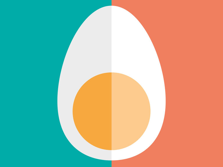 Grafik Hühnerei Querschnitt Grafik Hühnerei Querschnitt