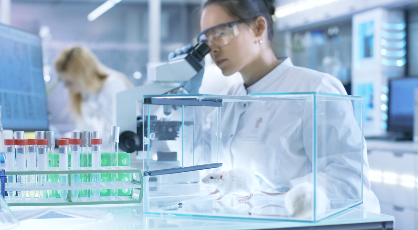 Ansicht einer modernen Laborsituation mit zwei arbeitenden Wissenschaftlerinnen an Mikroskopen im Hintergrund, im Vordergrund ist ein Terrarium mit lebendigen weißen Mäusen sichtbar