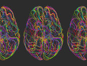 Grafik: Buntes, abstraktes Gehirn