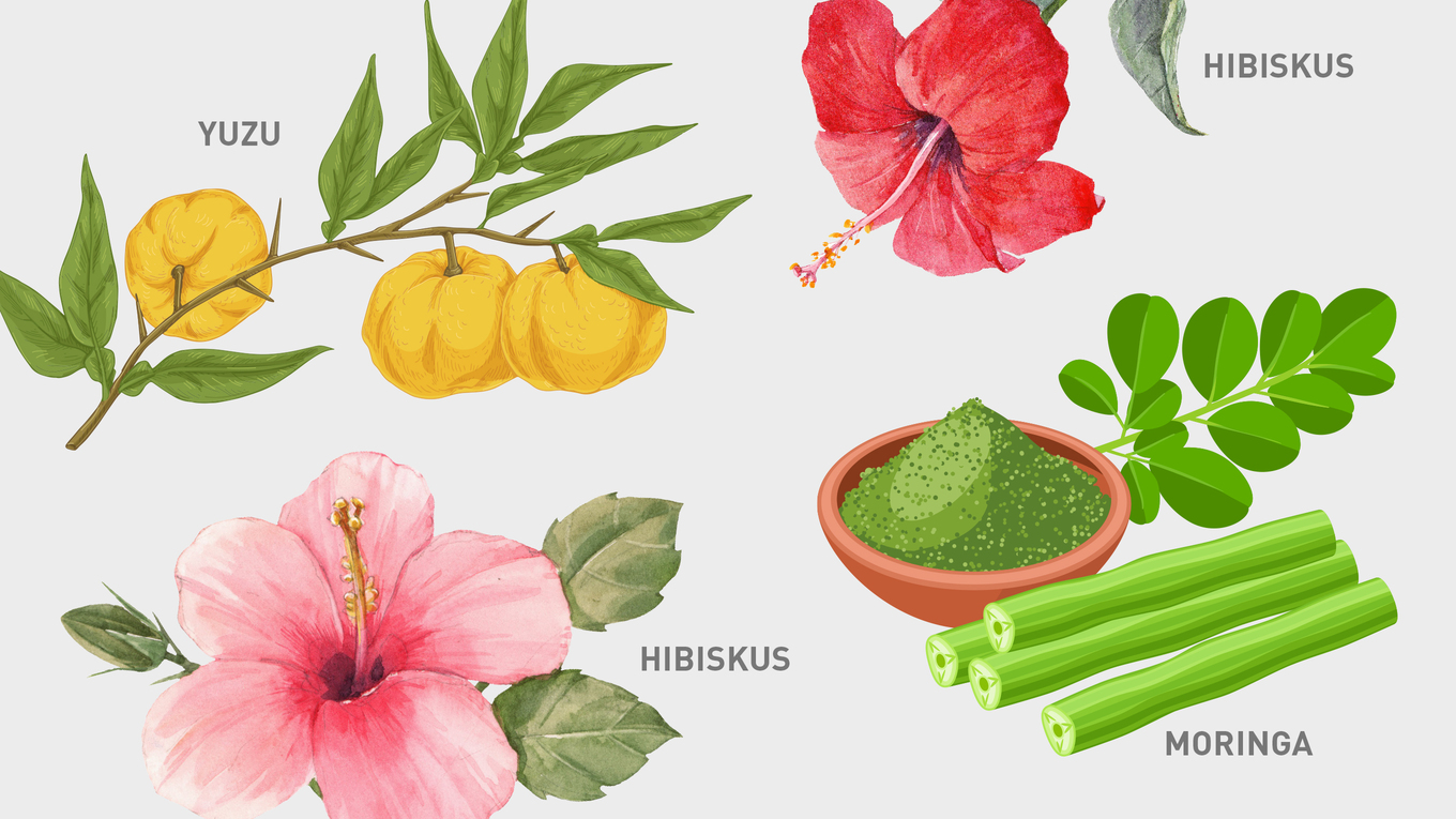 Hibiskus, Yuzu und Moringa